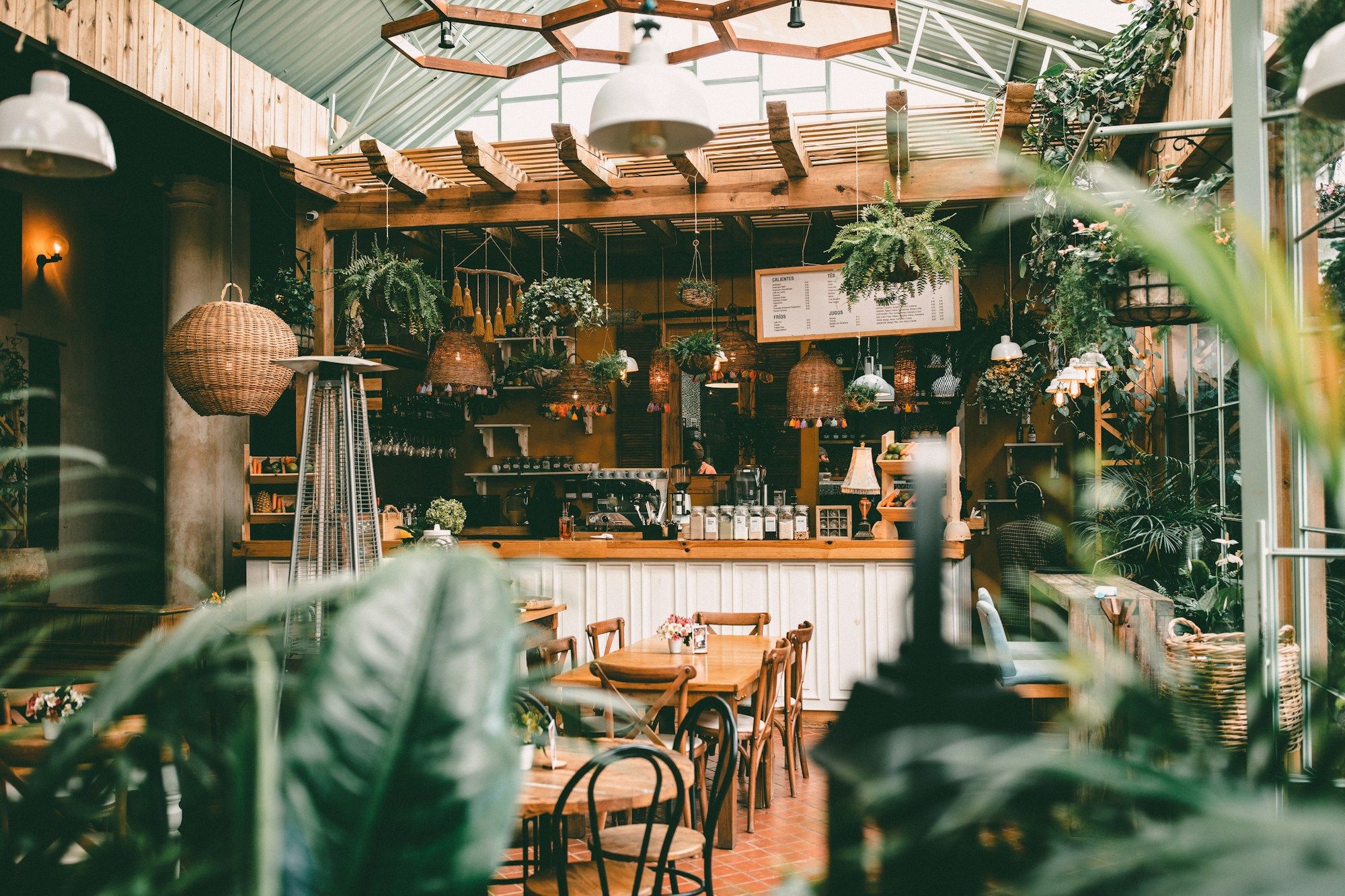 Salle de restaurant lumineuse, garnie de plantes suspendues et de tables en bois